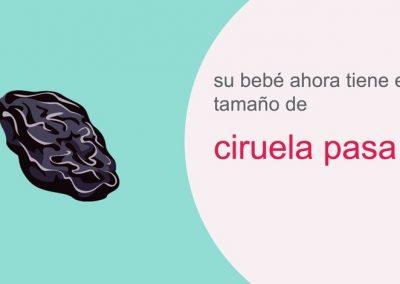 Su embarazo: semana 10