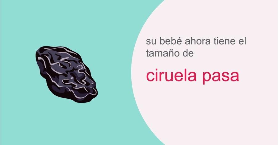 su-embarazo-semana-10