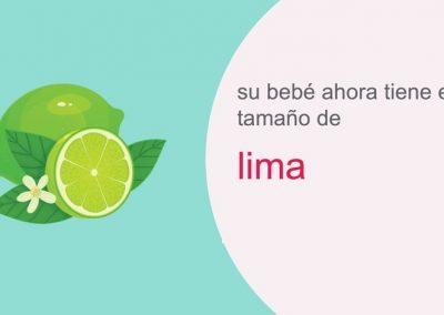 Su embarazo: semana 11