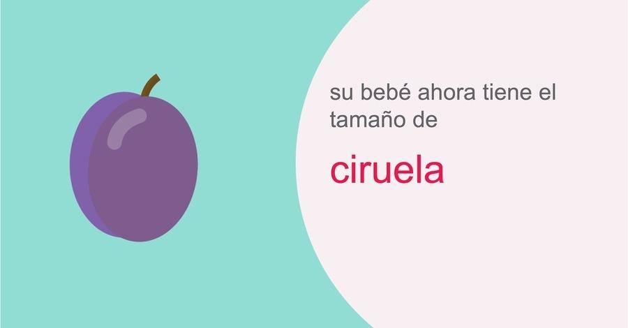 su-embarazo-semana-12