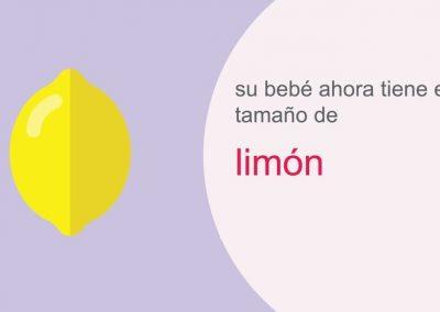 Su embarazo: semana 13