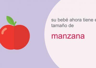 Su embarazo: semana 15