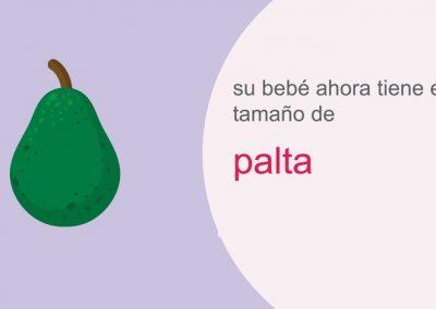 Su embarazo: semana 16