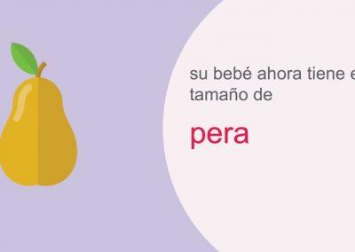 Su embarazo: semana 17