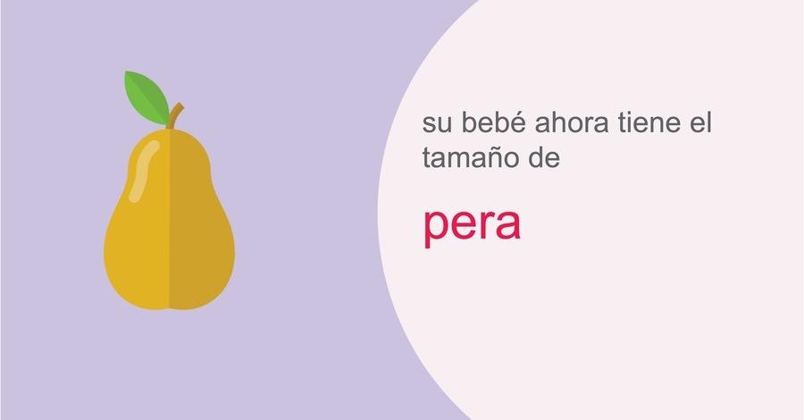 su-embarazo-semana-17