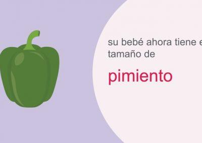 Su embarazo: semana 18