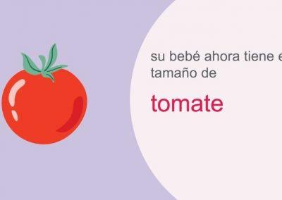 Su embarazo: semana 19