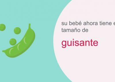 Su embarazo: semana 6