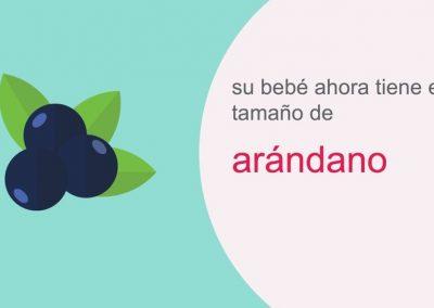 Su embarazo: semana 7