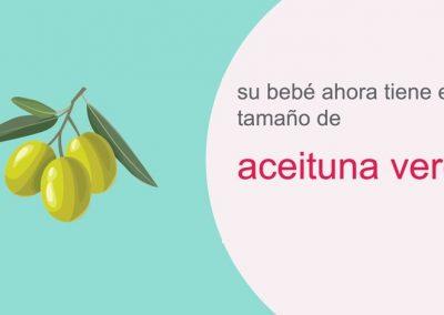 Su embarazo: semana 9
