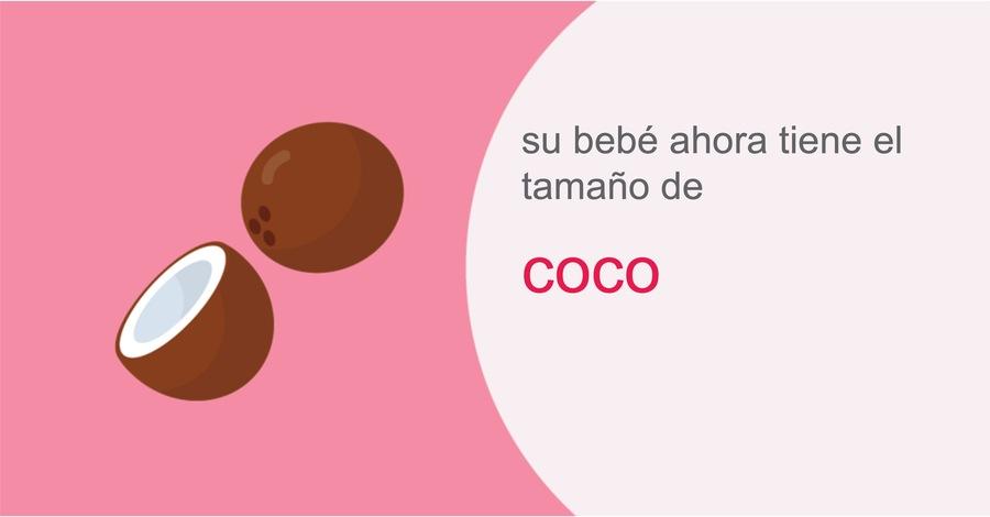 Su embarazo semana 31