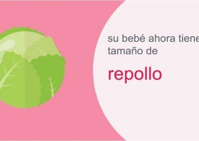 Su embarazo: semana 32
