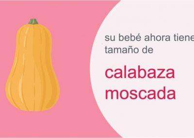 Su embarazo: semana 34