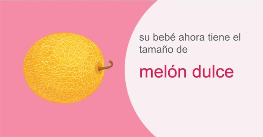 Su embarazo semana 35
