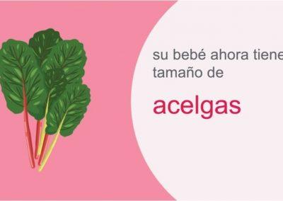 Su embarazo: semana 36