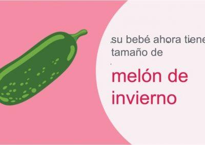 Su embarazo: semana 37