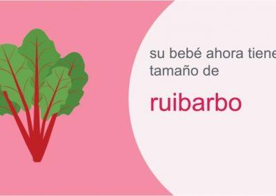 Su embarazo: semana 38