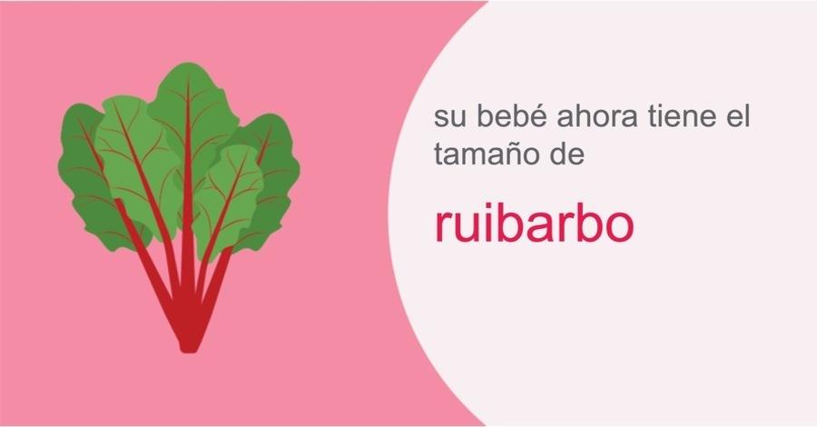 Su embarazo semana 38