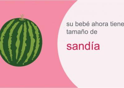 Su embarazo: semana 39