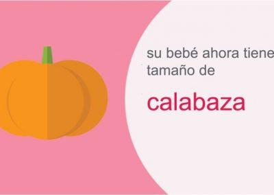 Su embarazo: semana 40
