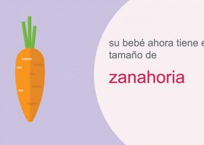 Su embarazo: semana 21