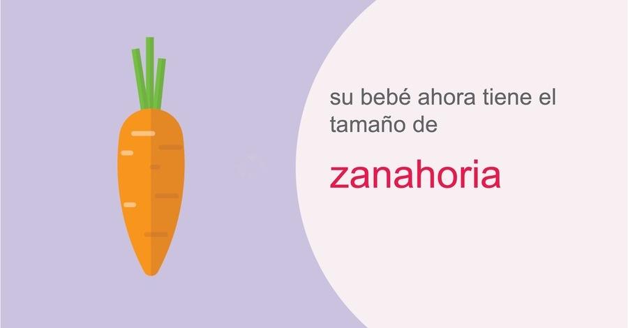 su-embarazo-semana-21