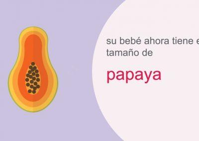 Su embarazo: semana 22