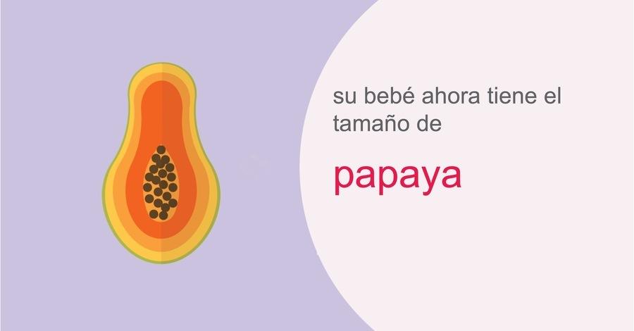 su-embarazo-semana-22