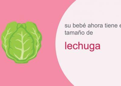 Su embarazo: semana 26