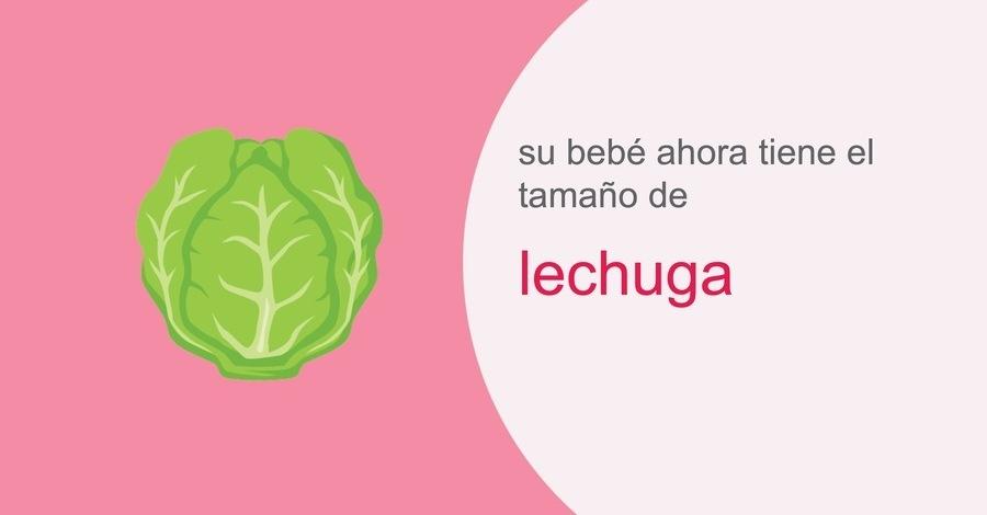 su-embarazo-semana-26