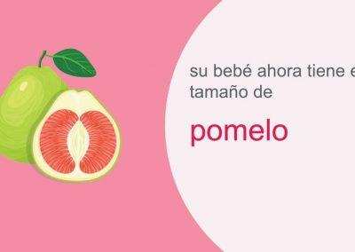 Su embarazo: semana 29