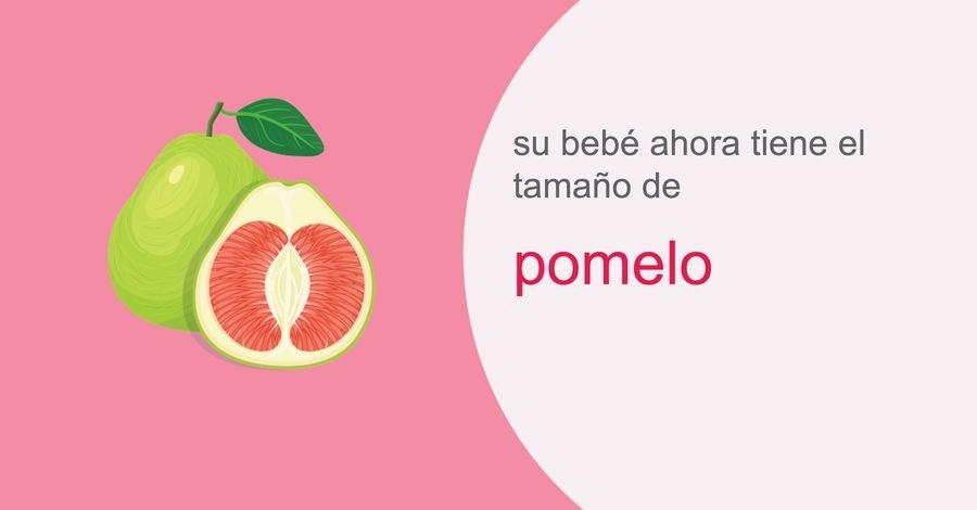 su-embarazo-semana-29