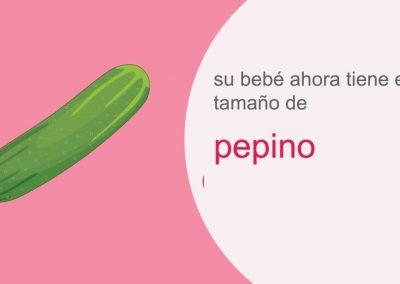 Su embarazo: semana 30