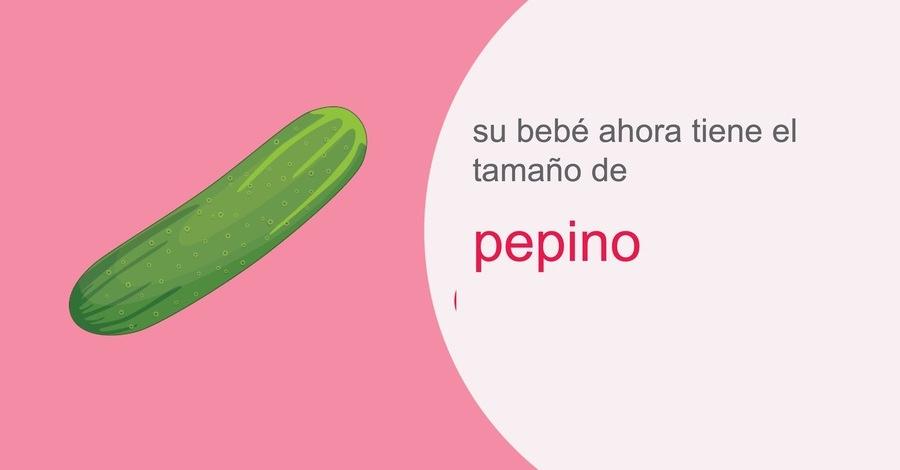 su-embarazo-semana-30