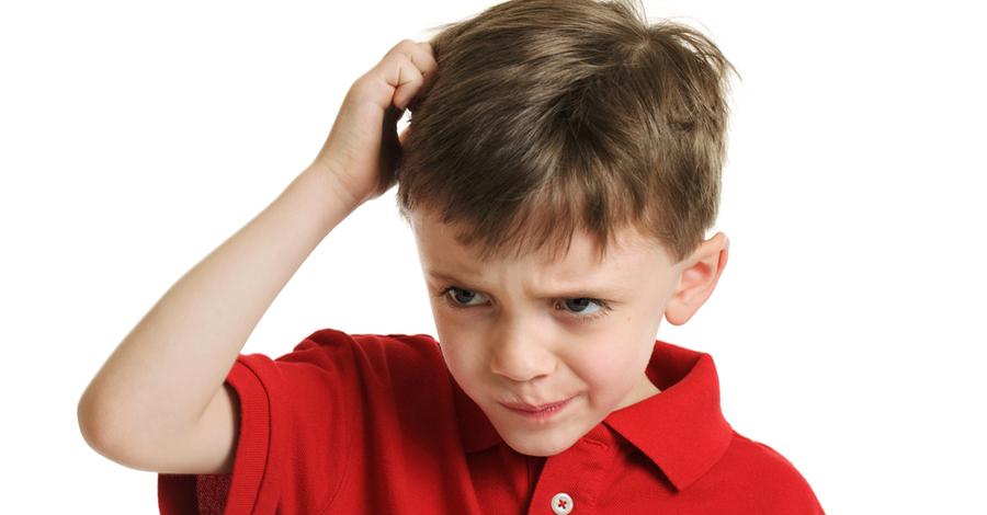 ¡Ayuda, mi hijo tiene piojos en la cabeza!