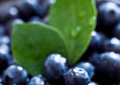 Alimentación saludable para vivir sanos