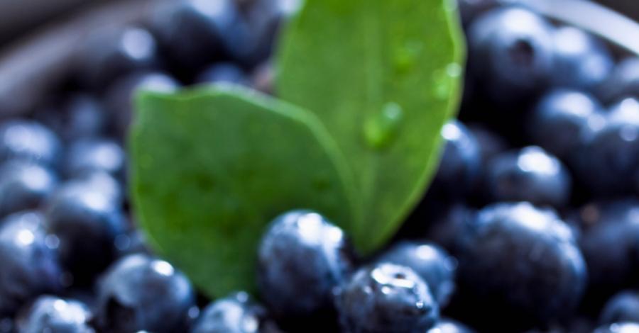 Alimentación saludable para vivir sanos
