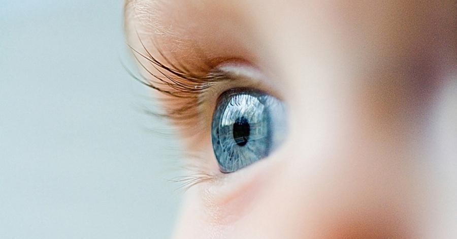 Enfermedades de los ojos del niño común