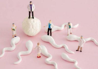 Introducción a la fertilidad masculina Lo que necesita saber