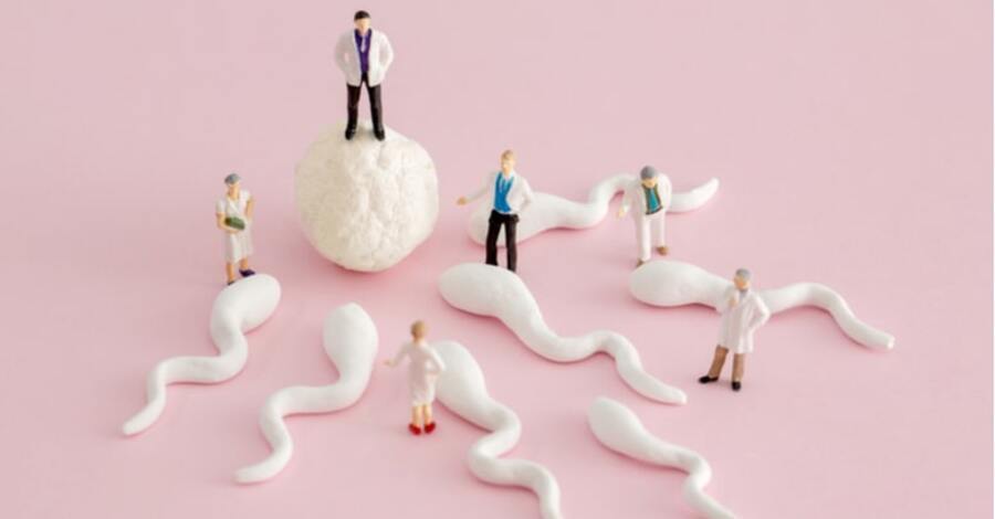 Introducción a la fertilidad ma